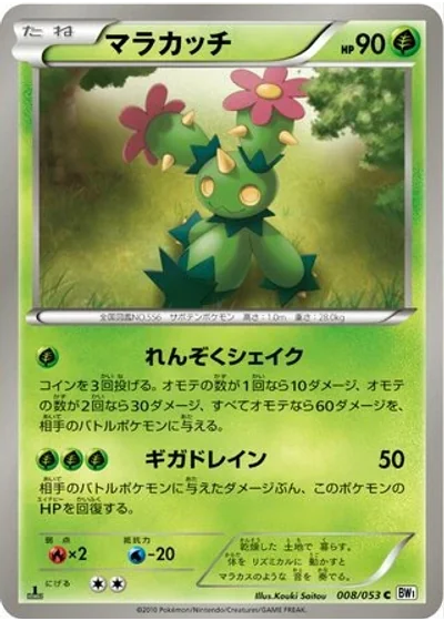 Maractus