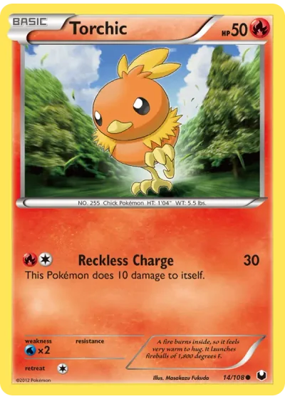 Torchic