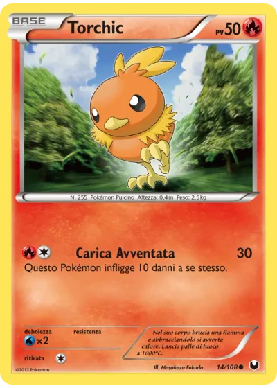 Torchic