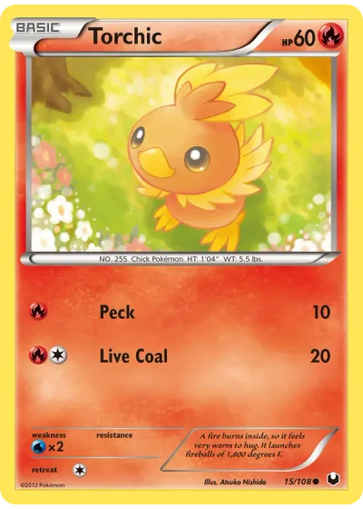 Torchic