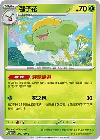 Skiploom