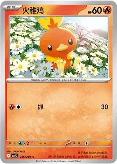 Torchic