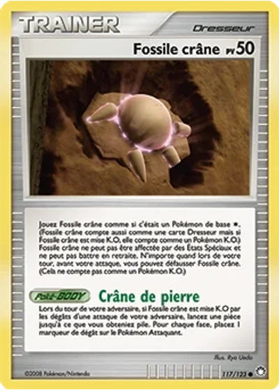 Fossile crâne