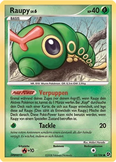 Raupy