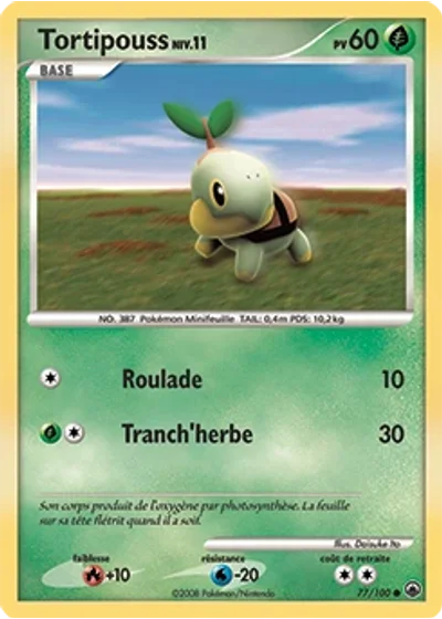 Tortipouss