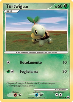 Turtwig