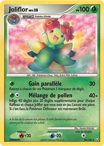 Joliflor