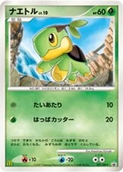 Turtwig