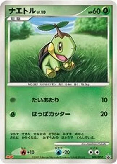 Turtwig