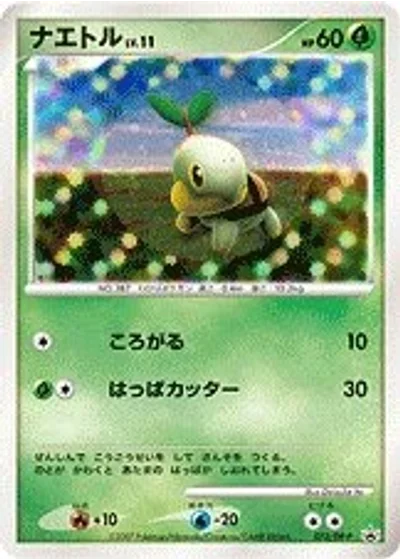 Turtwig