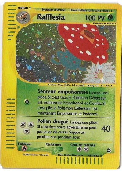 Rafflesia