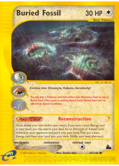 Buried Fossil
