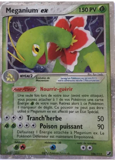 Meganium ex