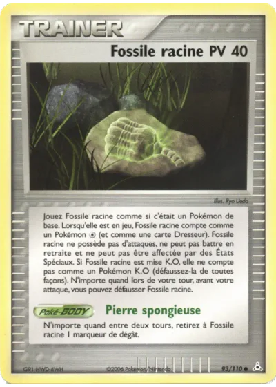 Fossile racine