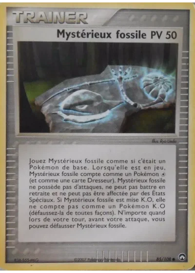 Mystérieux fossile