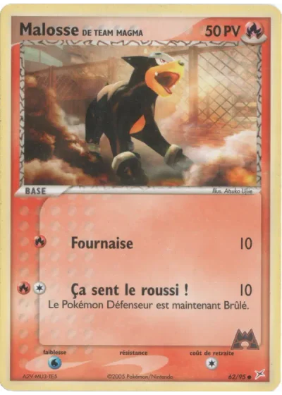 Malosse de Team Magma
