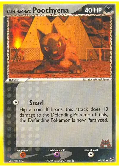 Team Magma's Poochyena