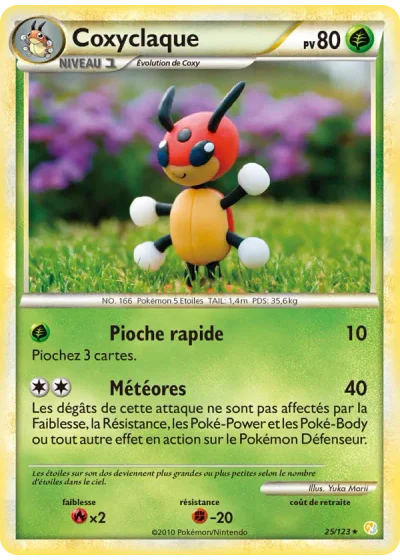 Coxyclaque