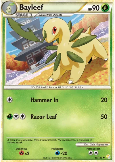 Bayleef