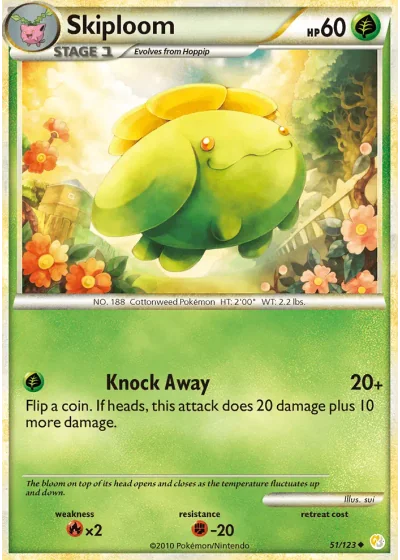 Skiploom