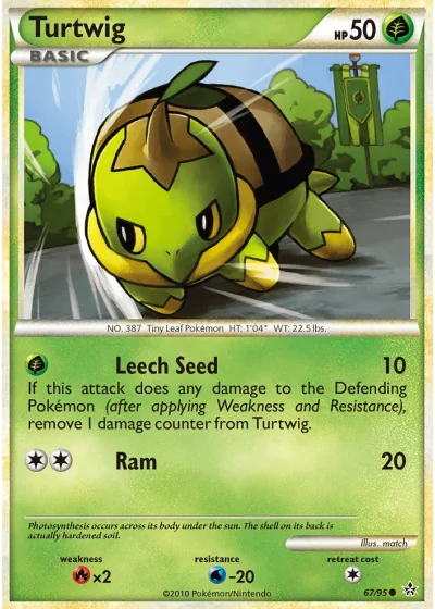 Turtwig