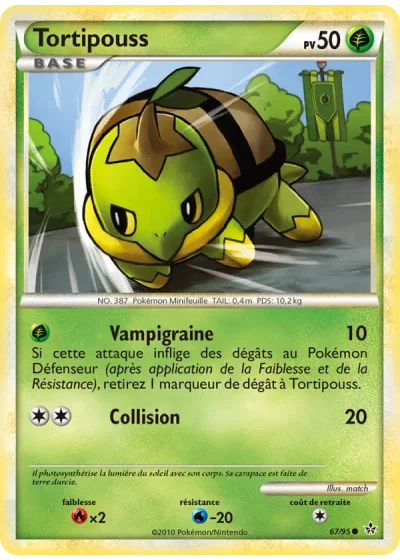 Tortipouss