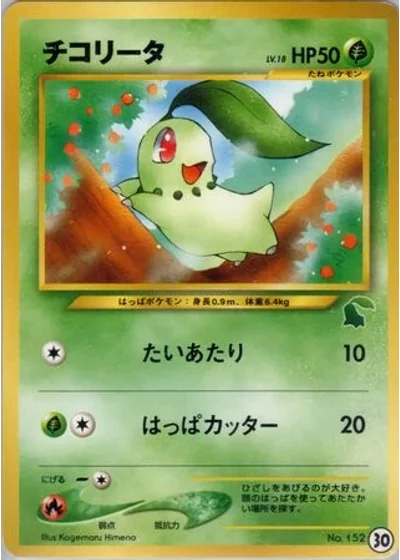 Chikorita