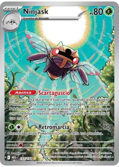 Ninjask