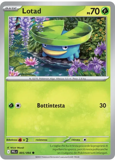 Lotad