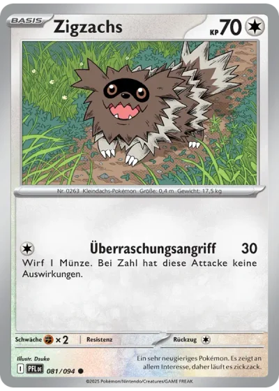 Zigzachs