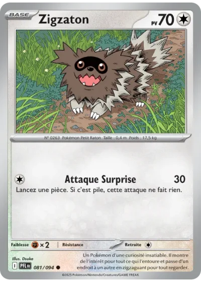 Zigzaton