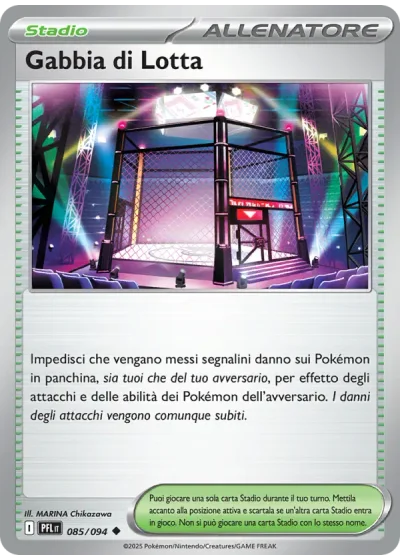 Gabbia di Lotta