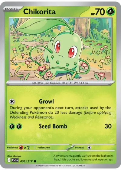 Chikorita