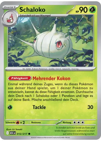Schaloko