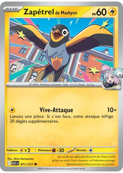 Zapétrel de Mashynn