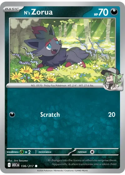 N's Zorua