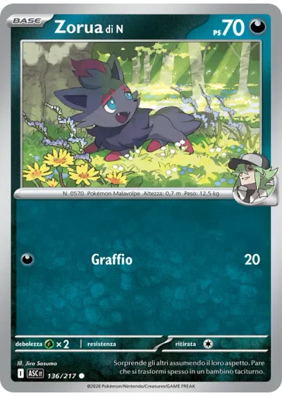 Zorua di N