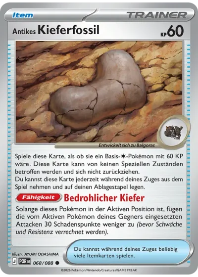 Antikes Kieferfossil