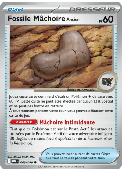 Fossile Mâchoire Ancien