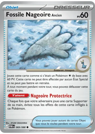 Fossile Nageoire Ancien