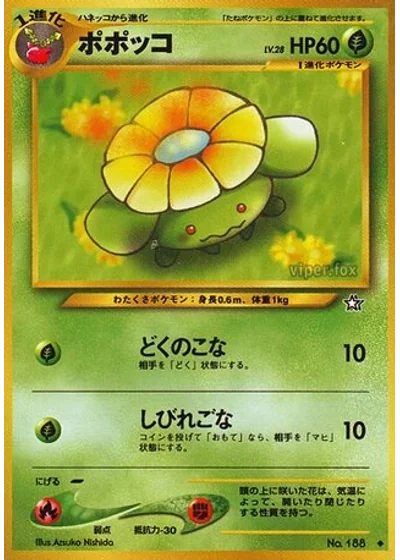 Skiploom