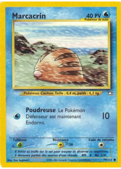 Marcacrin