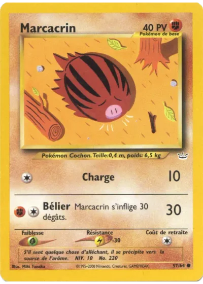 Marcacrin
