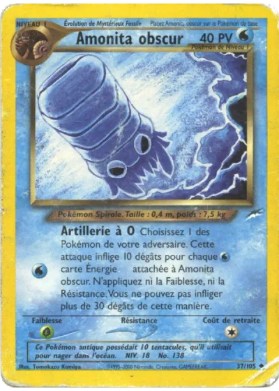 Amonita obscur