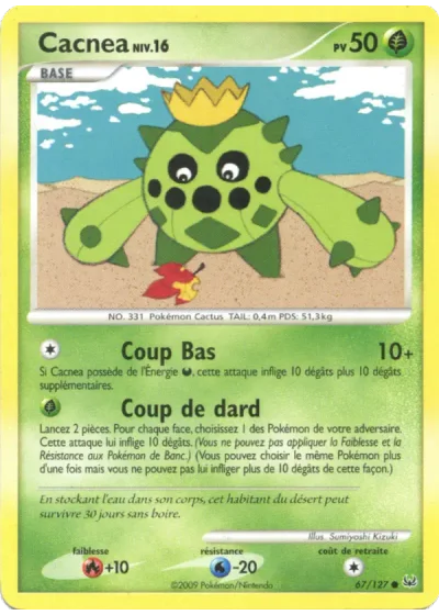 Cacnea