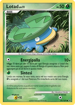 Lotad