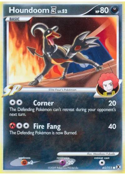 Houndoom 4