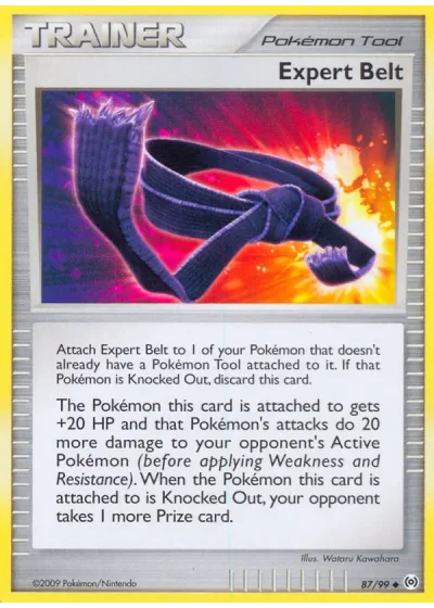 Expert Belt