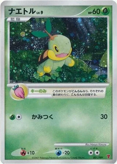 Turtwig