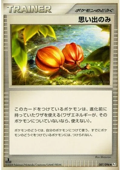 Memory Berry